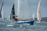 scintilla of the sea 920y whyw23 sun 750 9572